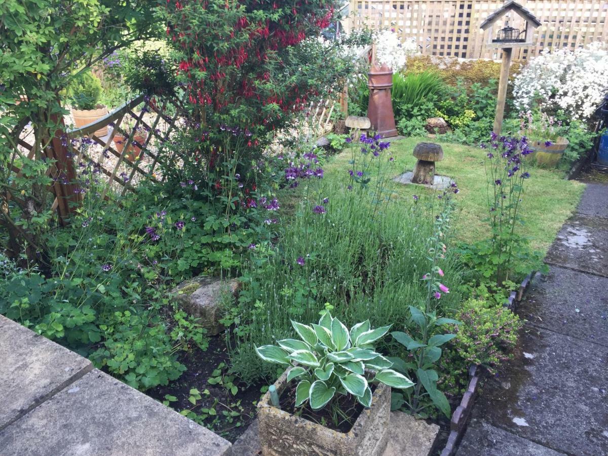 هالتويسل Eden Cottage المظهر الخارجي الصورة